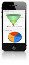 iPhone with site displayed